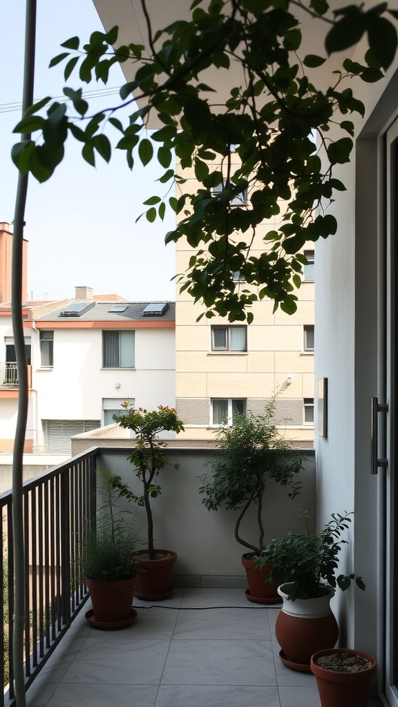 Small balcony with potted trees providing shade