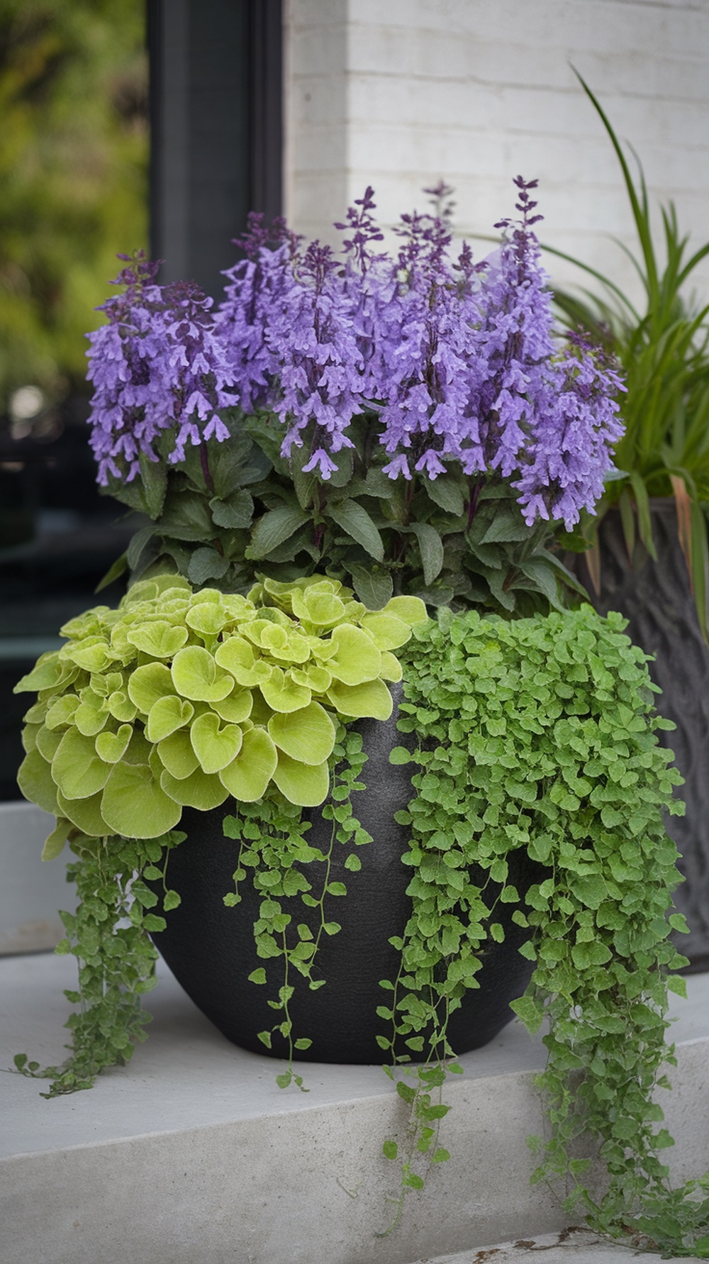 A flower pot with vibrant purple flowers and lush green foliage, showcasing a beautiful summer arrangement.