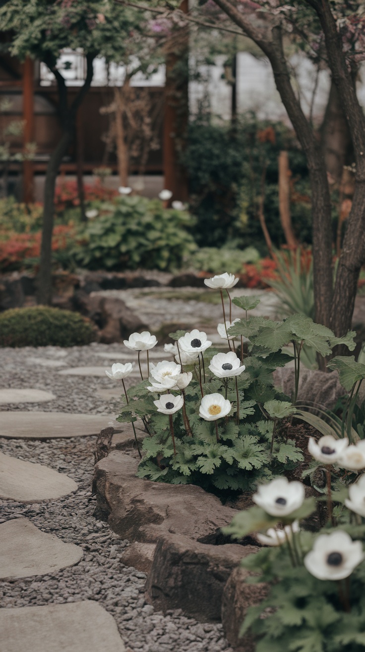 Japanese Anemones in a serene garden setting with stepping stones and greenery.