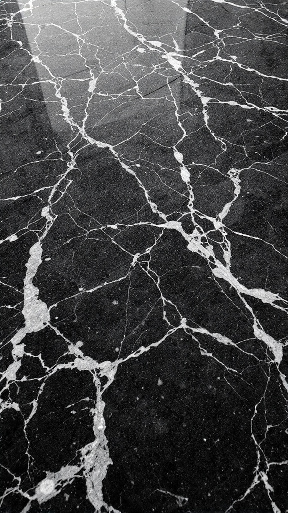 Black and white marble bathroom floor with contrasting patterns