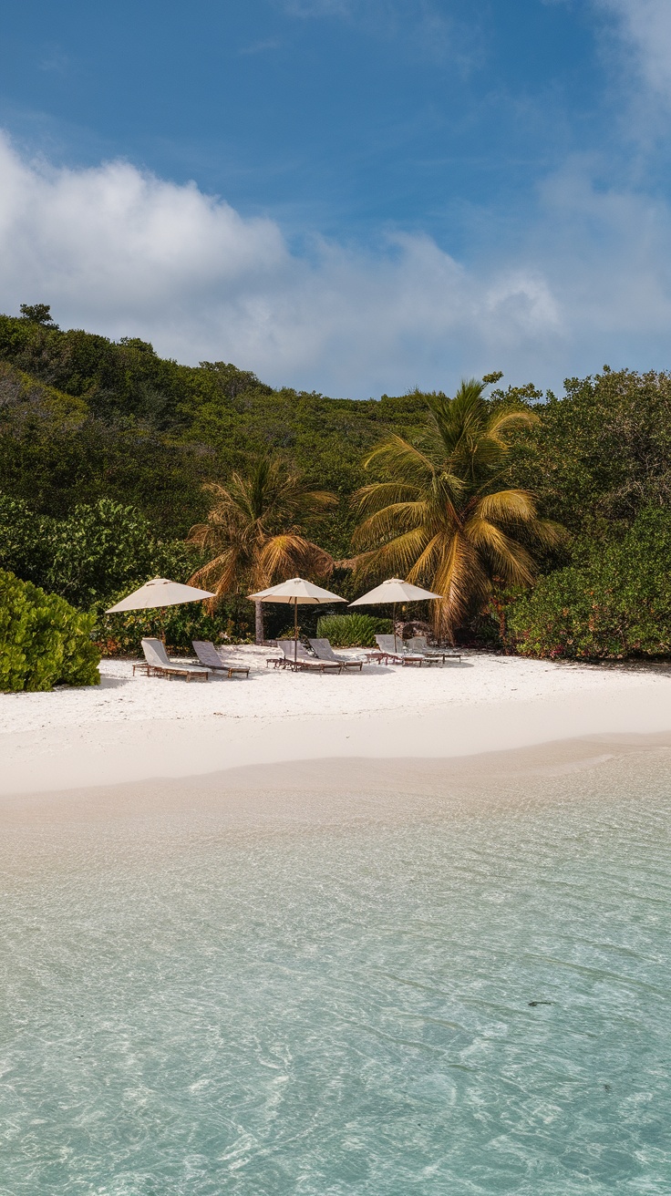 Private beach with lounge chairs and umbrellas surrounded by greenery and clear water.