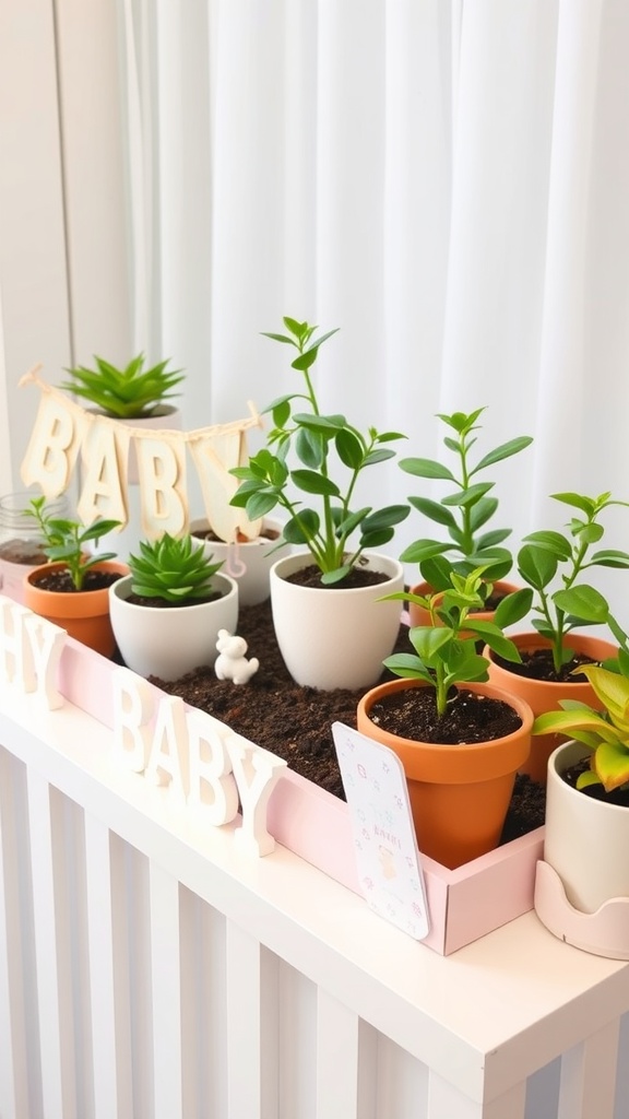 A charming display of small potted plants with a sign saying 'BABY' and a cute bunny figurine.