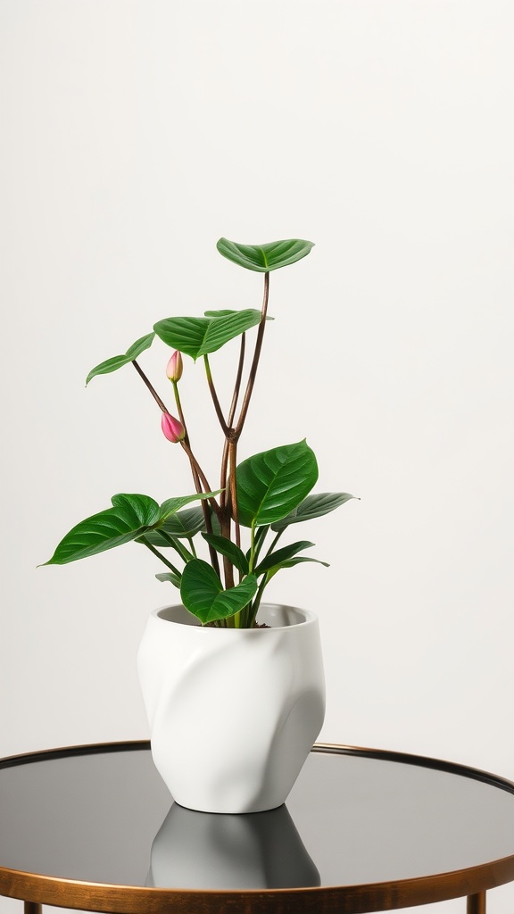 A Syngonium plant in a modern white pot on a table.