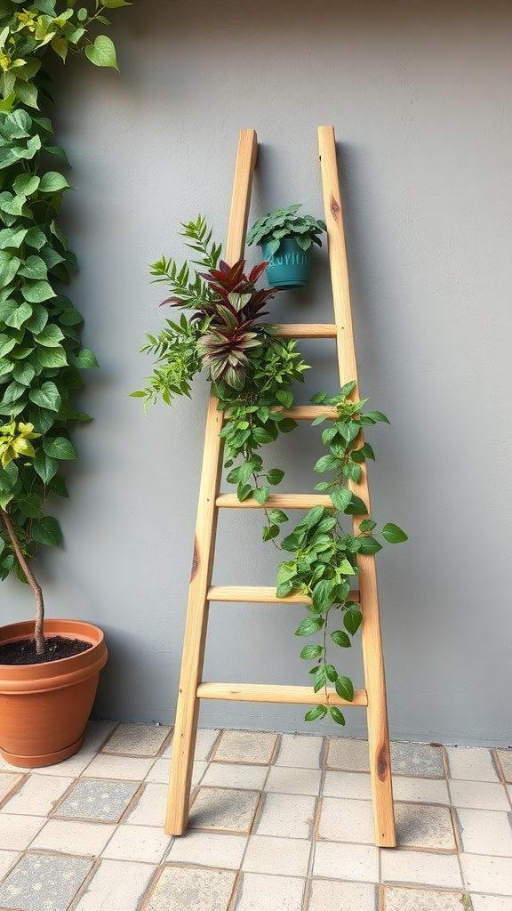 A wooden ladder repurposed as a planter, decorated with various green plants.