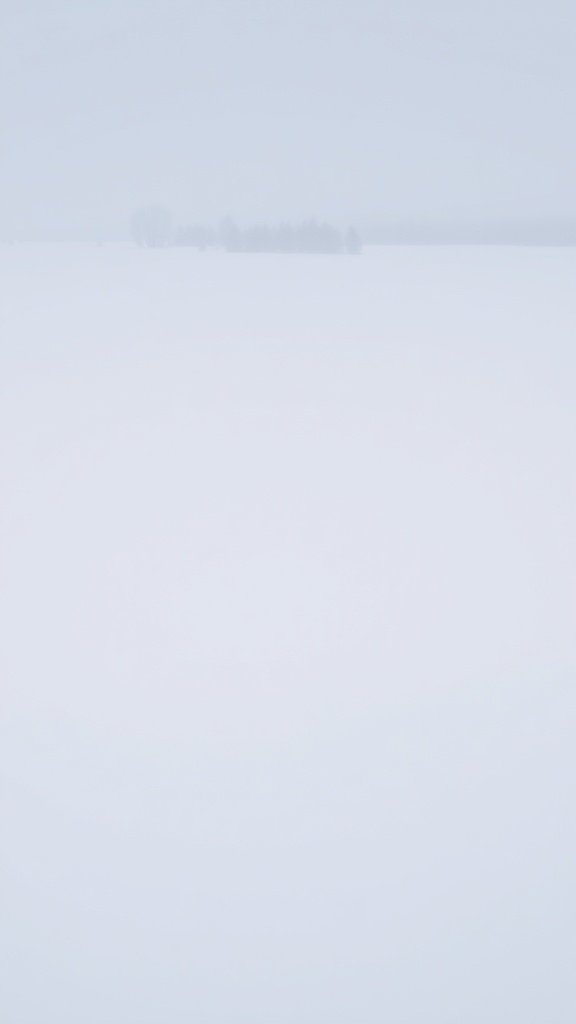 Paisaje invernal con nieve y cielo gris, representando el diseño escandinavo.