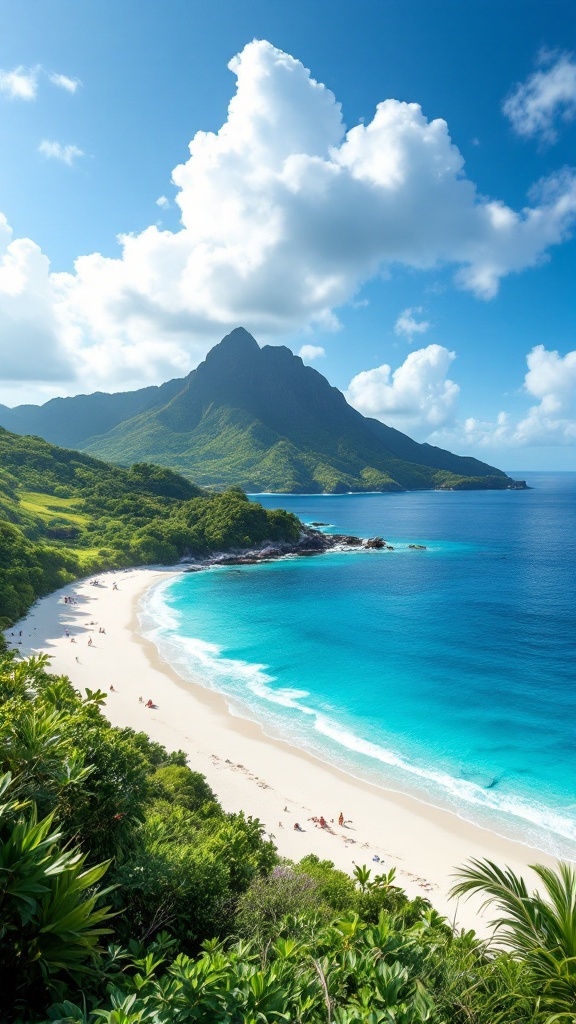A scenic view of Trunk Bay beach with white sand and turquoise waters surrounded by lush greenery and mountains.